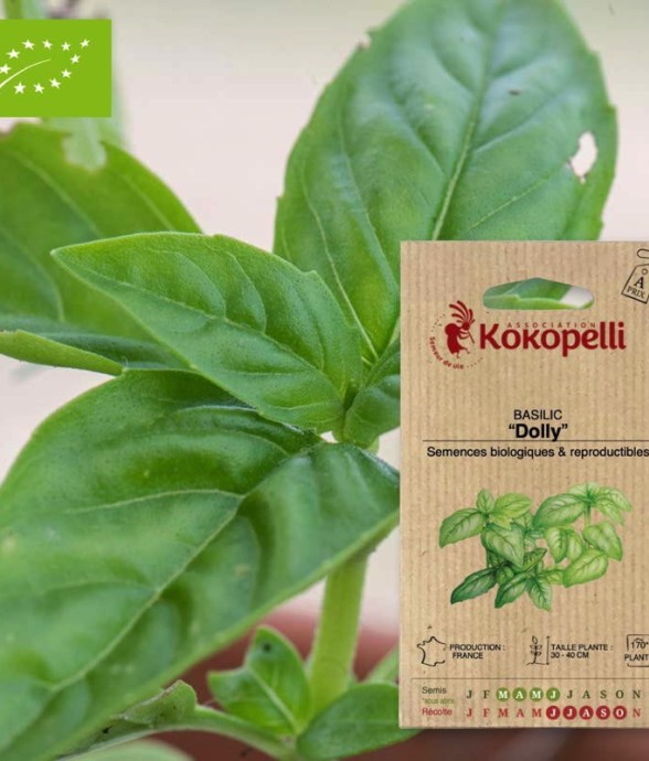 Graines bio à semer -...