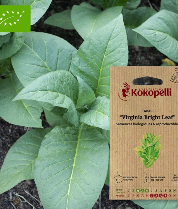 Graines bio à semer - Tabac...
