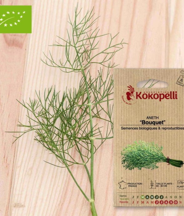 Graines bio à semer - Aneth...