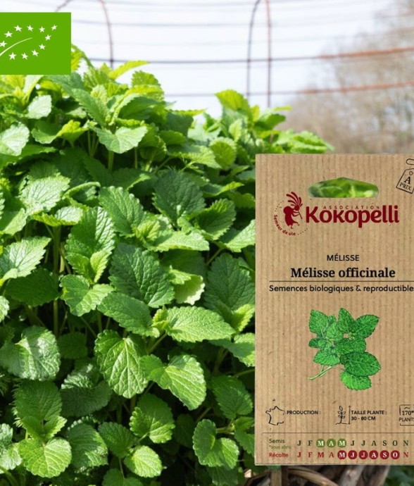 Graines bio à semer -...