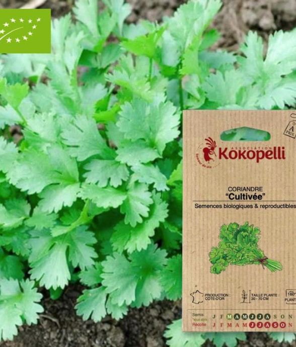 Graines bio à semer -...