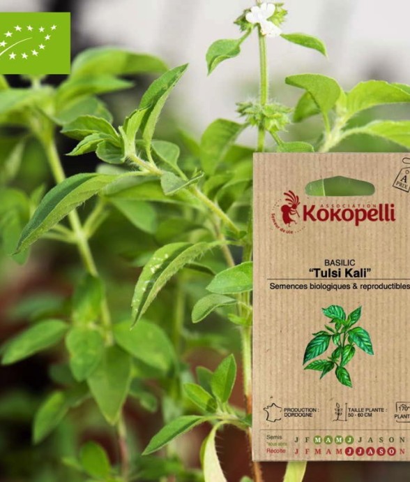 Graines bio à semer -...