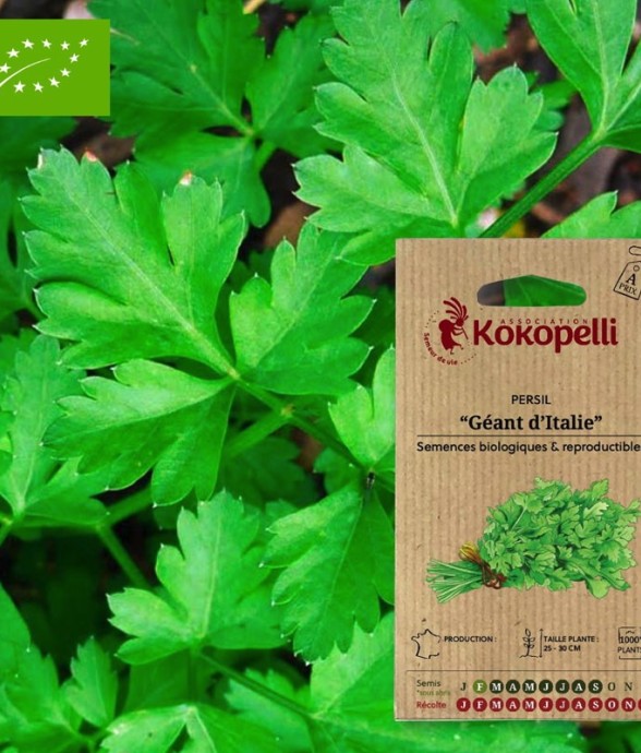 Graines bio à semer -...