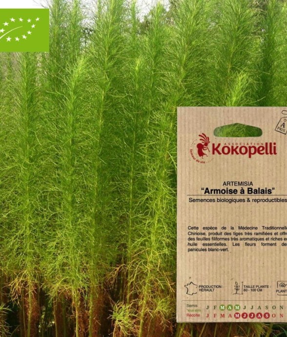 Graines bio à semer -...