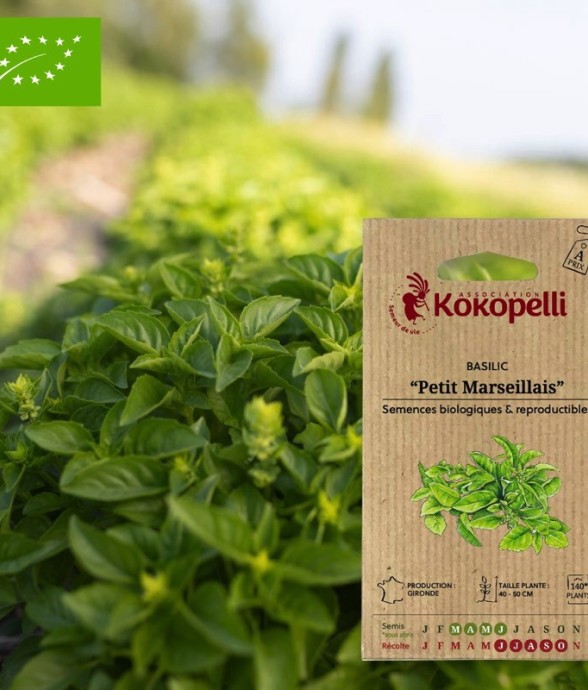 Graines bio à semer -...