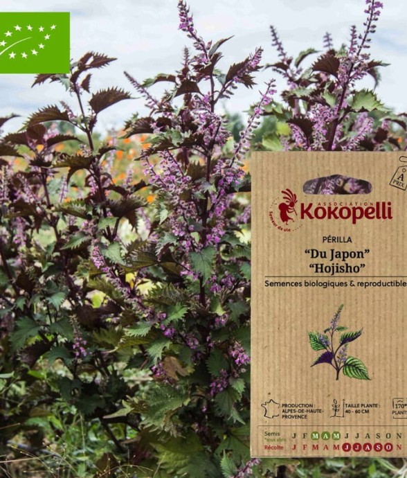 Graines bio à semer -...