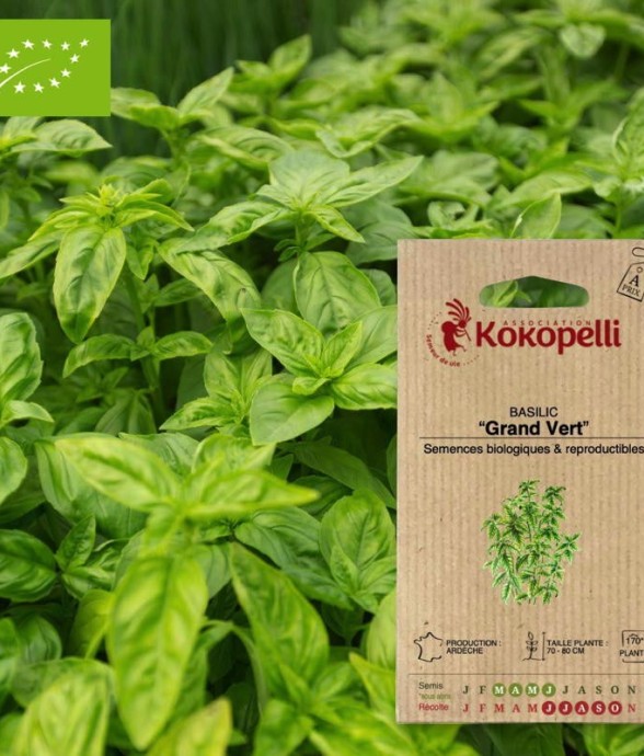 Graines bio à semer -...