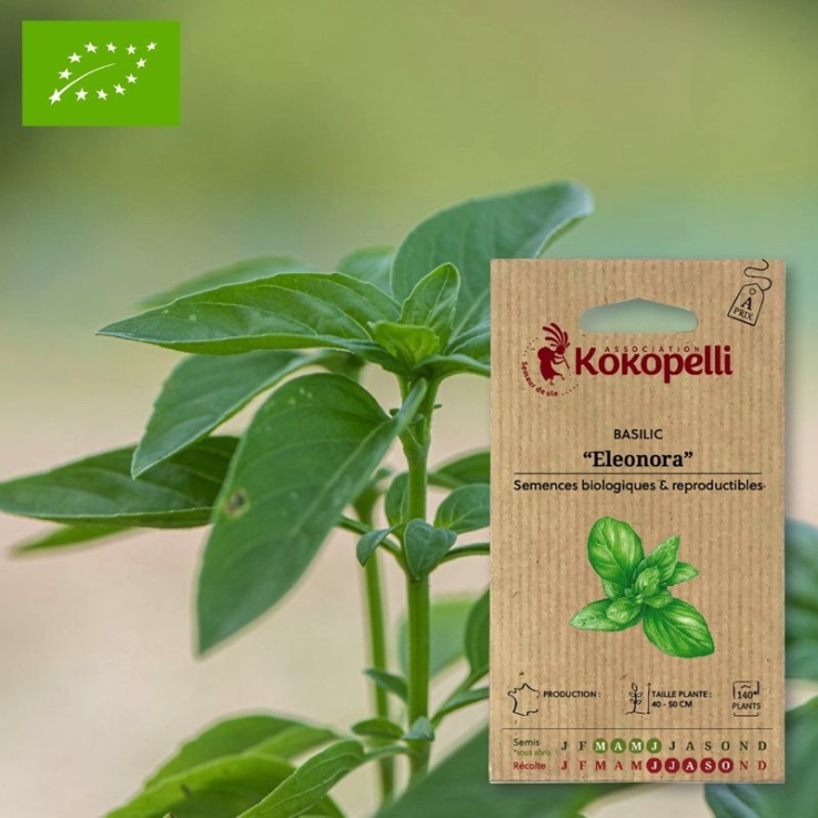 Graines bio à semer - Basilic Eleonora