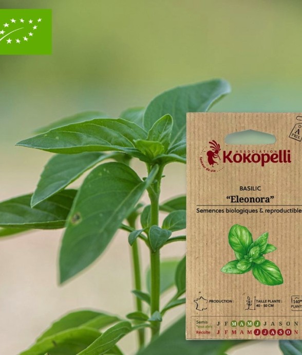 Graines bio à semer -...