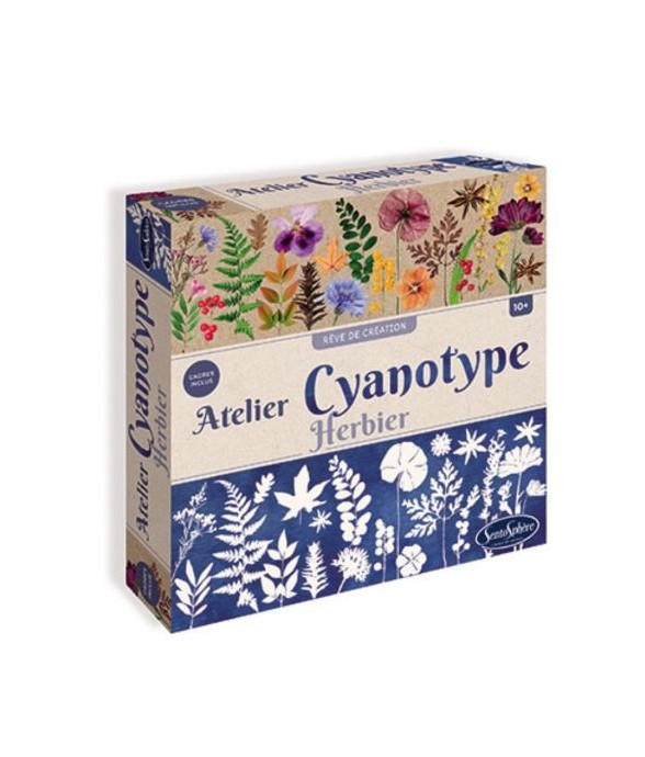 Atelier Cyanotype herbier