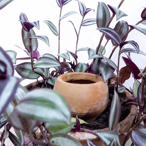 4 Ollas à planter 0,3L