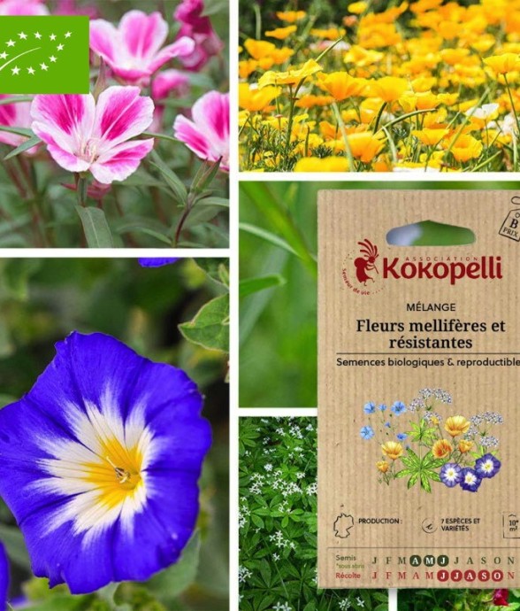 Mélange Fleurs mellifères...