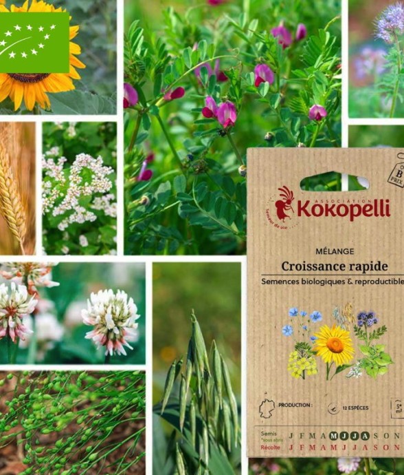 Mélange Croissance rapide-...