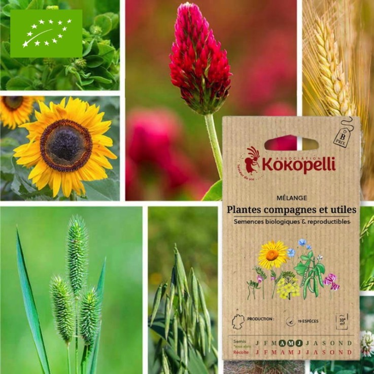 Mélange Plantes compagnes et utiles- Graines bio à semer