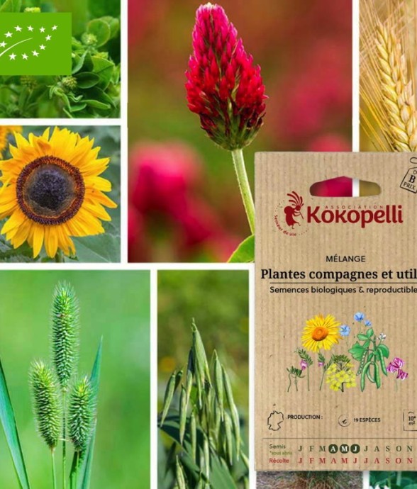 Mélange Plantes compagnes...
