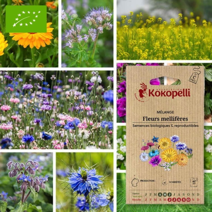 Mélange Fleurs mellifères- Graines bio à semer