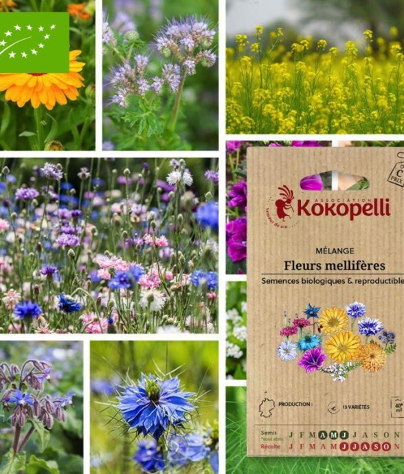 Mélange Fleurs mellifères-...
