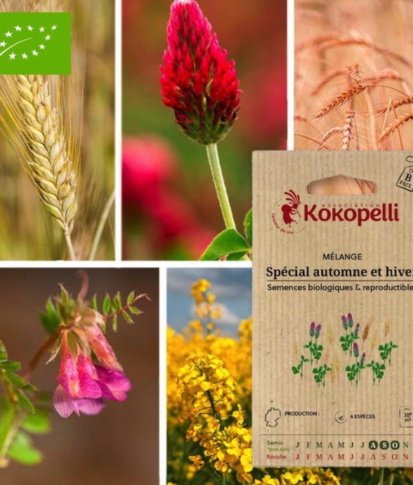 Mélange Spécial Automne et...