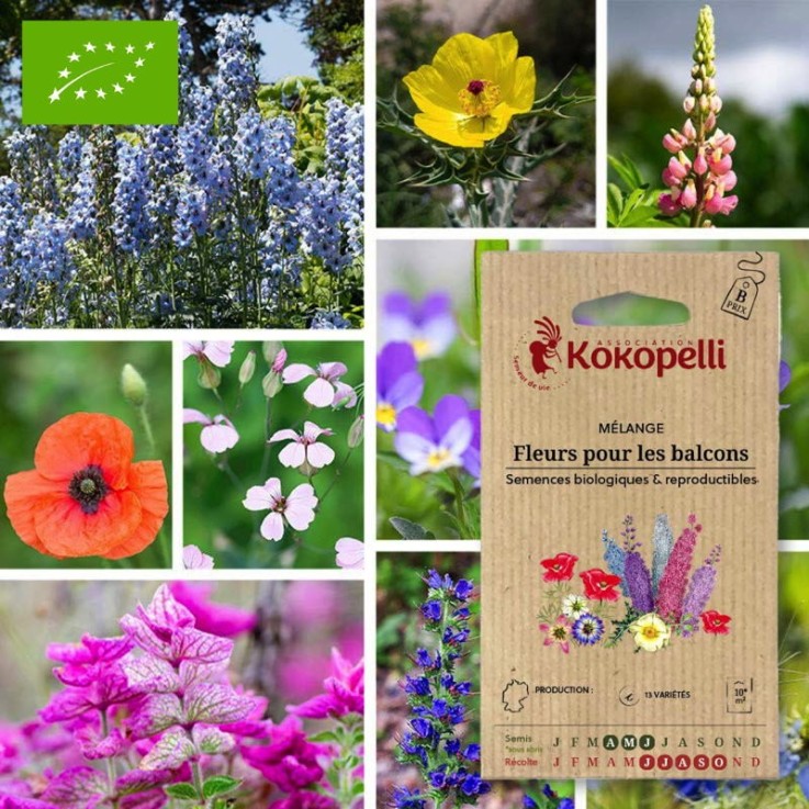 Mélange Fleurs pour les balcons- Graines bio à semer
