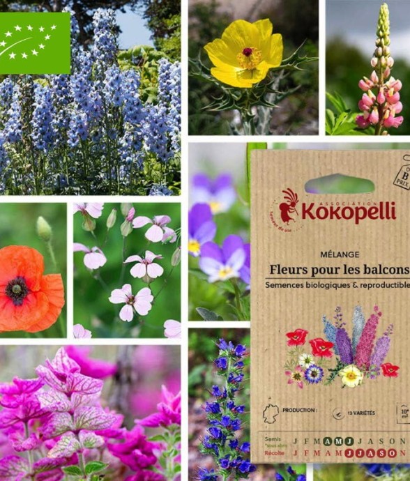 Mélange Fleurs pour les...