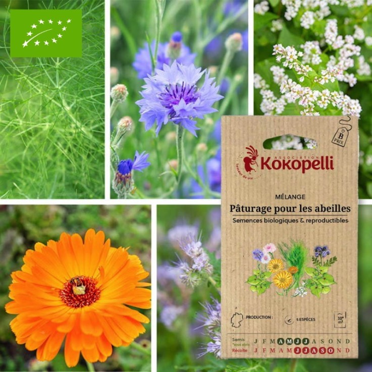 Mélange Pâturage pour les abeilles- Graines bio à semer
