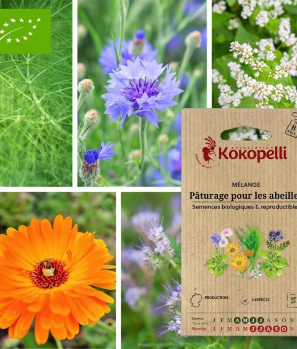 Mélange Pâturage pour les...