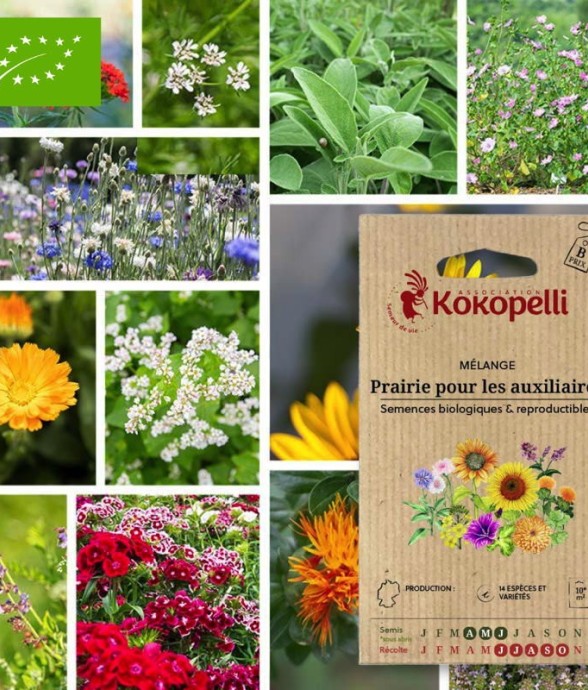 Mélange Prairie pour les...