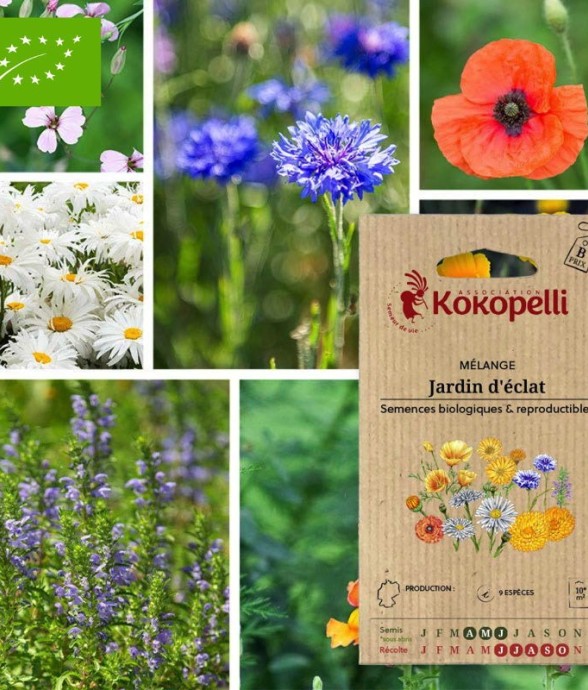 Mélange Jardin d'éclat-...