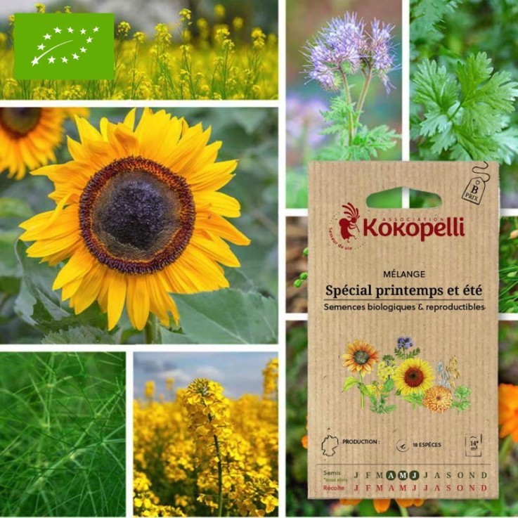 Mélange Spécial Printemps et Été- Graines bio à semer