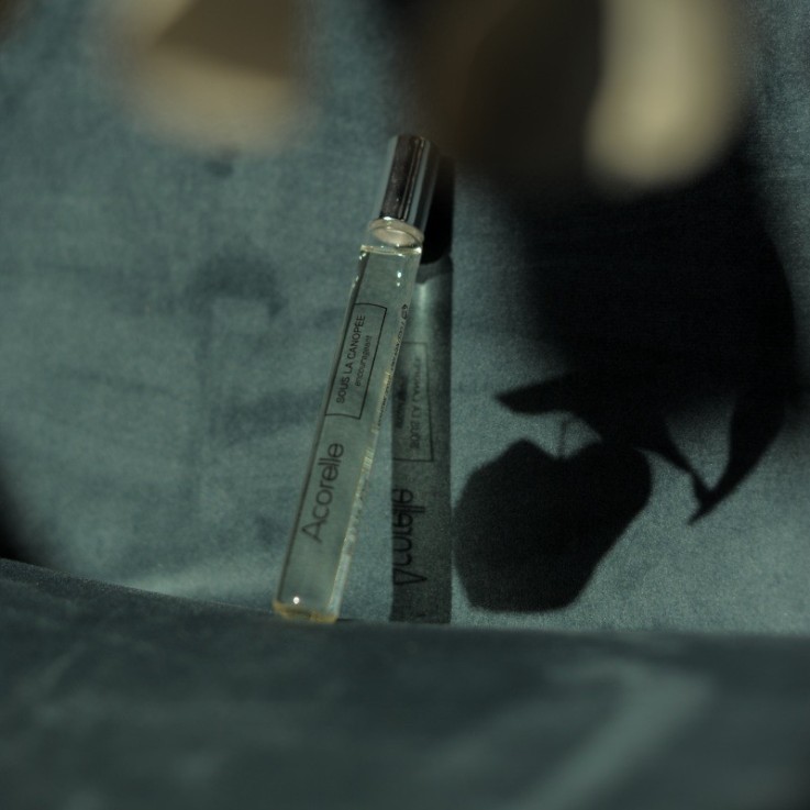 Eau de parfum roll-on Sous la Canopée certifiée bio (10ml)