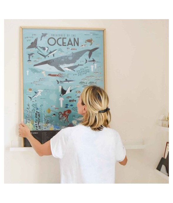 Poster découverte avec...