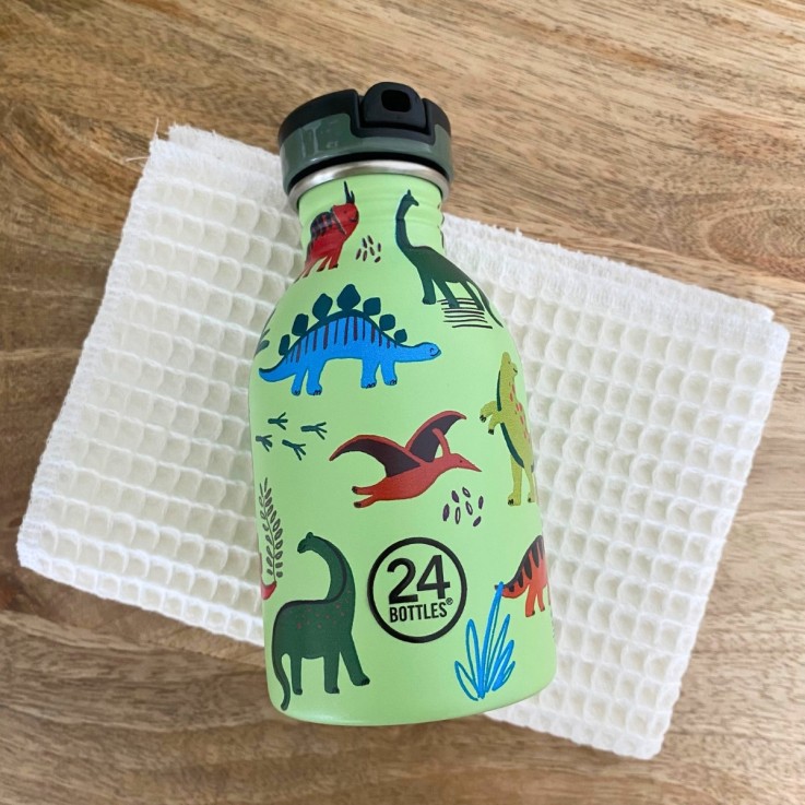 Gourde KIDS 250 ml - Jurassic friends | 24 Bottles