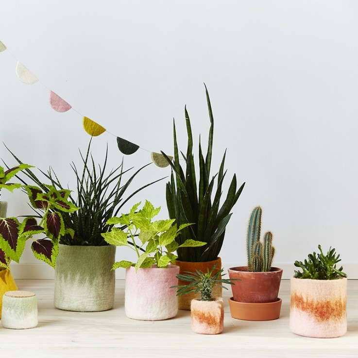 Cache Pot En Laine Moss Green