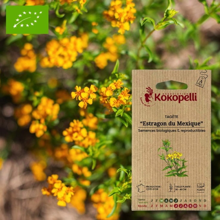 Tagète Estragon du Mexique- Graines bio à semer