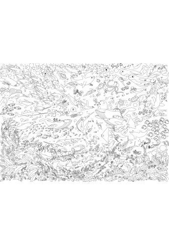 Mes posters à colorier océans