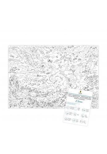 Mes posters à colorier océans