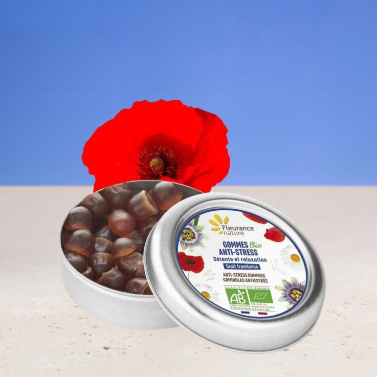 Gommes anti-stress (30 g) Bio