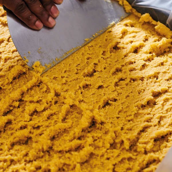 Calissons d'Aix Léonard Parli - Coffret Prestige - Boîte de 20 calissons (230g)