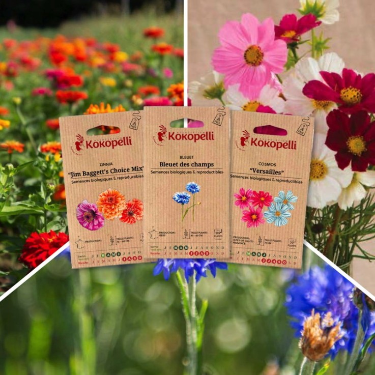 Fleurs comestibles - 3 sachets de graines bio à semer