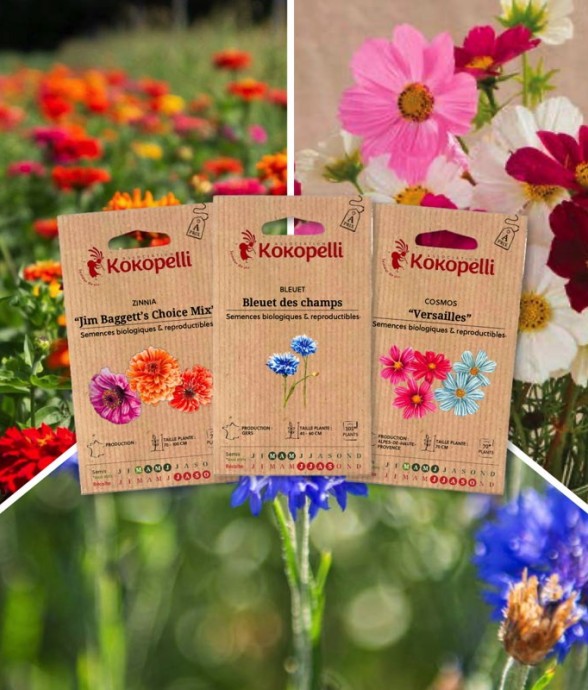 Fleurs comestibles - 3...