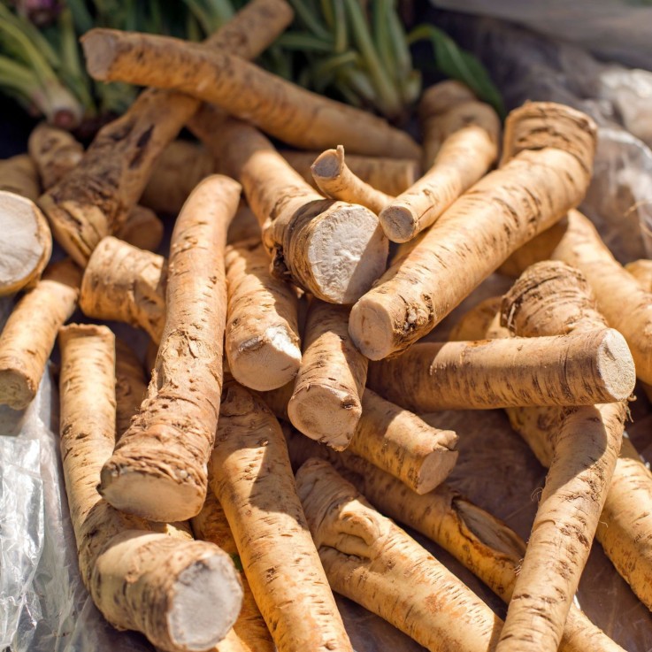 Raifort - Set de 2 - Armoracia rusticana - Rhizomes - Groen