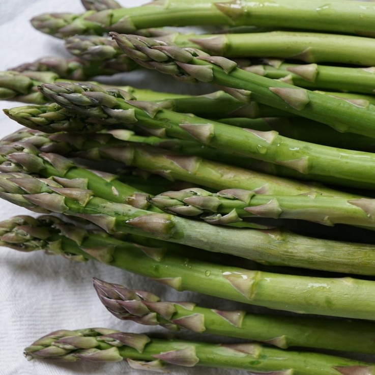 Asperge de jardin - Set de 3 - Asparagus 'Gijnlim'
