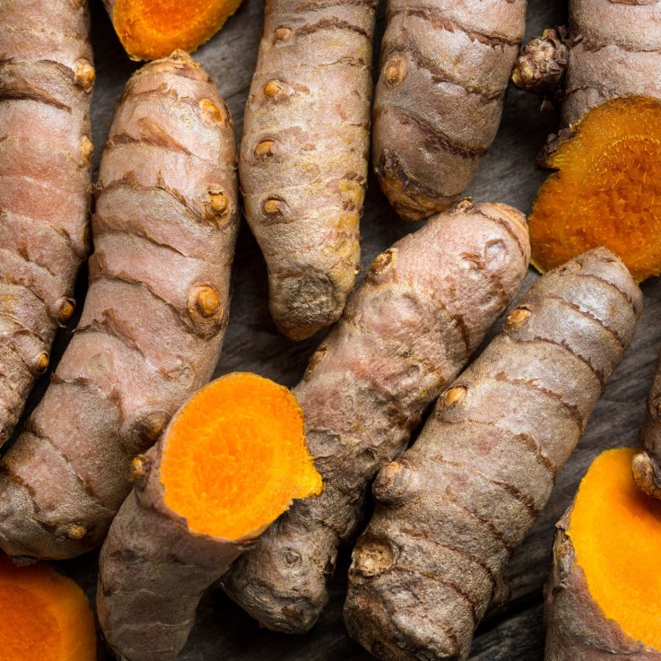 Curcuma - Set de 2 - Curcuma Longa - Rhizomes - Orange