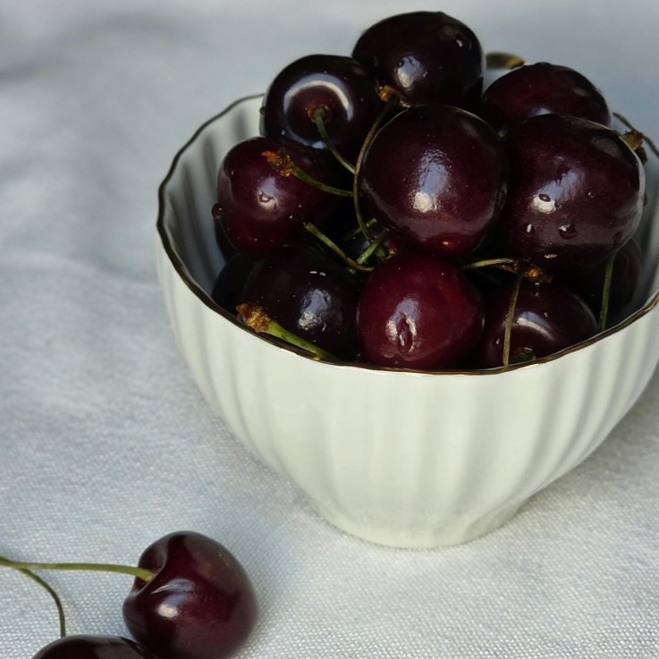 Cerisier - Prunus avium - Cerise douce - Hauteur 90-110cm - ⌀23cm