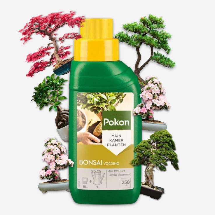 Engrais liquide pour plantes Pokon - Bonsaï - 250ml
