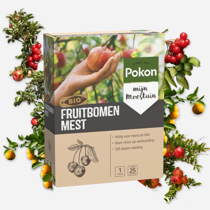 Engrais pour arbres fruitiers Pokon Bio - 1kg