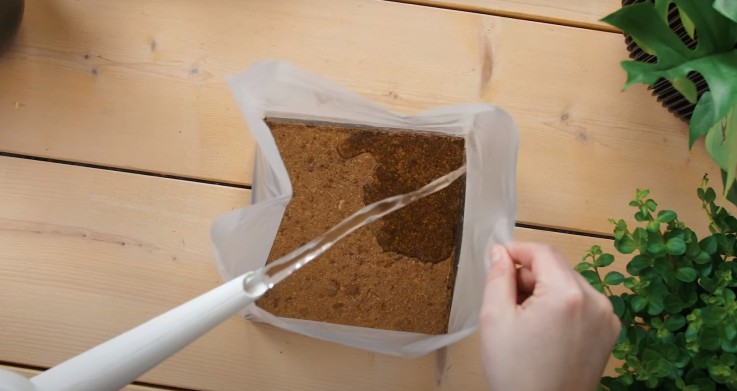 Pokon terreau Compact - Terreau de coco - Intérieur et extérieur - 10 litres