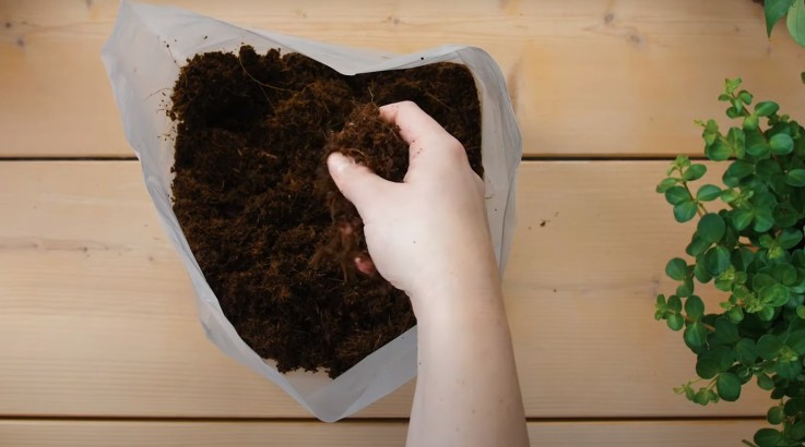 Pokon terreau Compact - Terreau de coco - Intérieur et extérieur - 50 litres