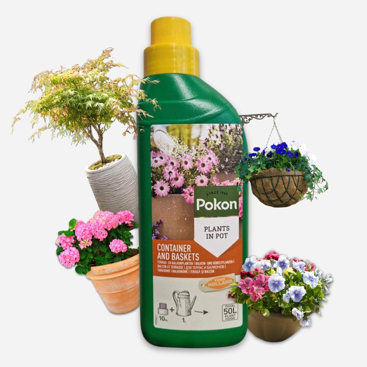 Pokon engrais liquide pour plantes de terrasse et de balcon – 500 ml