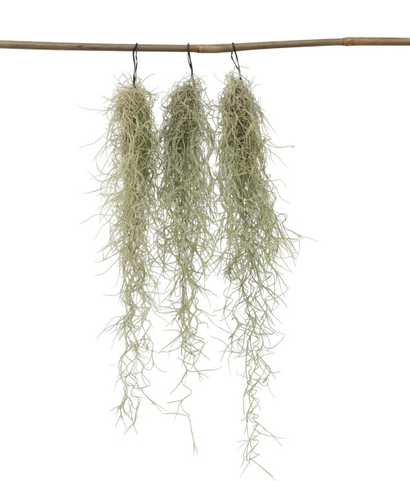 Mousse espagnole - Set de 3...